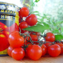 tomato rissoles, summer tomatoes