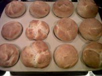 Quick Bread Rolls 