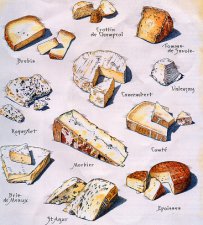 The Families of French Cheese